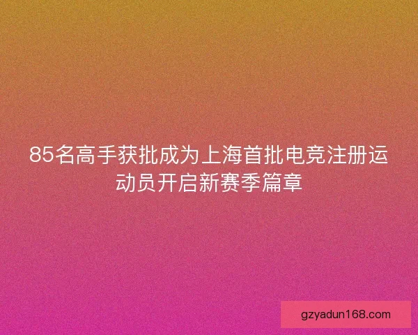 85名高手获批成为上海首批电竞注册运动员开启新赛季篇章