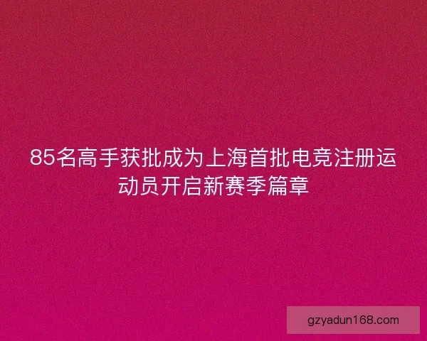 85名高手获批成为上海首批电竞注册运动员开启新赛季篇章 85名高手获批成为上海首批电竞注册运动员开启新赛季篇章