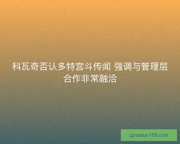 科瓦奇否认多特宫斗传闻 强调与管理层合作非常融洽 科瓦奇否认多特宫斗传闻 强调与管理层合作非常融洽