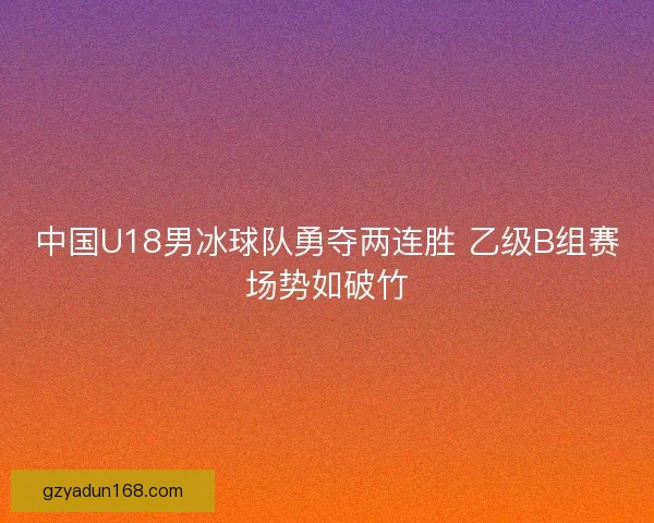 中国U18男冰球队勇夺两连胜 乙级B组赛场势如破竹 中国U18男冰球队勇夺两连胜 乙级B组赛场势如破竹